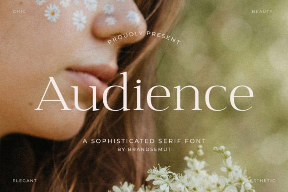 Audience Serif Font for Editorial Design