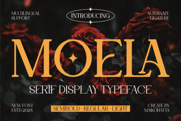 Moela Serif Display Typeface for Handmade Creators